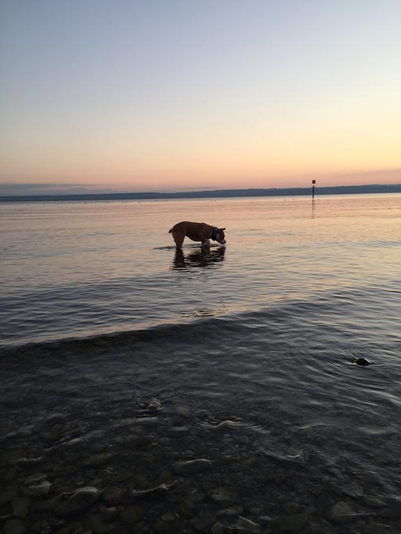 Strandhaus Hagnau Hotel Luaran gambar